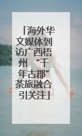 海外华文媒体到访广西梧州 “千年古郡”茶旅融合引关注