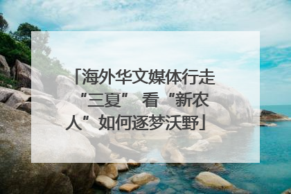海外华文媒体行走“三夏” 看“新农人”如何逐梦沃野