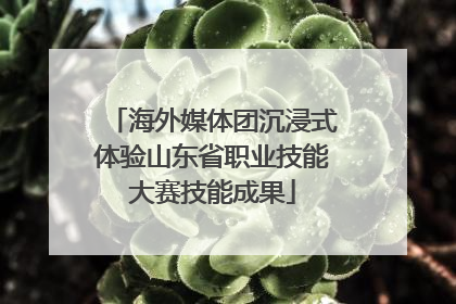 海外媒体团沉浸式体验山东省职业技能大赛技能成果