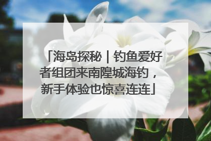 海岛探秘｜钓鱼爱好者组团来南隍城海钓，新手体验也惊喜连连