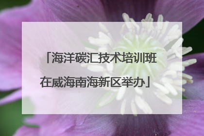 海洋碳汇技术培训班在威海南海新区举办