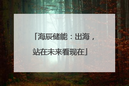 海辰储能：出海，站在未来看现在