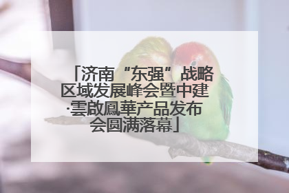 济南“东强”战略区域发展峰会暨中建·雲啟鳳華产品发布会圆满落幕