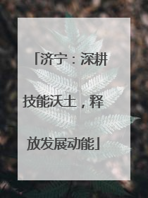 济宁：深耕技能沃土，释放发展动能