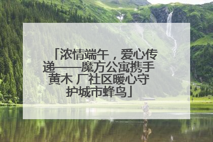 浓情端午，爱心传递——魔方公寓携手黄木 厂社区暖心守护城市蜂鸟