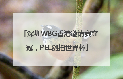 深圳WBG香港邀请赛夺冠，PEL剑指世界杯