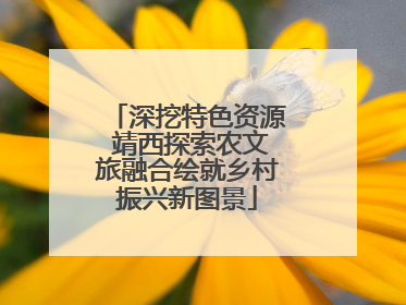 深挖特色资源 靖西探索农文旅融合绘就乡村振兴新图景