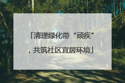 清理绿化带“顽疾”，共筑社区宜居环境