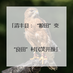 清丰县：“粮田”变“良田”村民笑开颜
