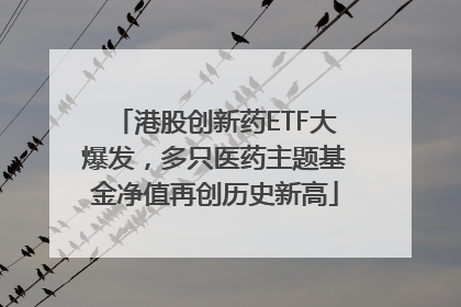 港股创新药ETF大爆发，多只医药主题基金净值再创历史新高