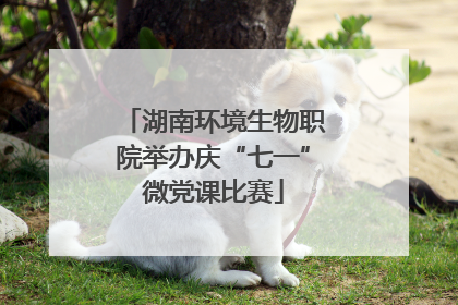 湖南环境生物职院举办庆“七一”微党课比赛