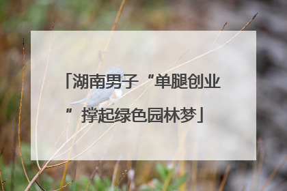 湖南男子“单腿创业”撑起绿色园林梦