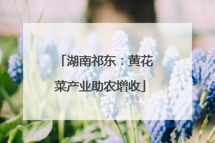 湖南祁东：黄花菜产业助农增收