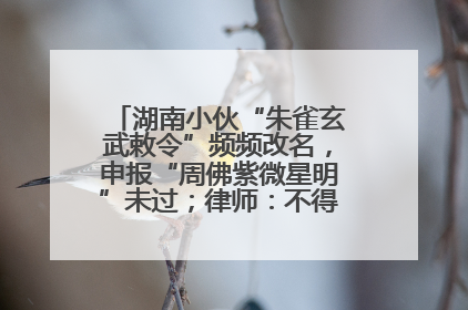 湖南小伙“朱雀玄武敕令”频频改名，申报“周佛紫微星明”未过；律师：不得违背公序良俗