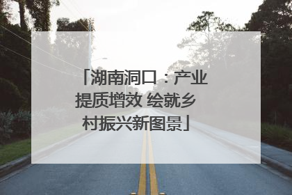湖南洞口：产业提质增效 绘就乡村振兴新图景