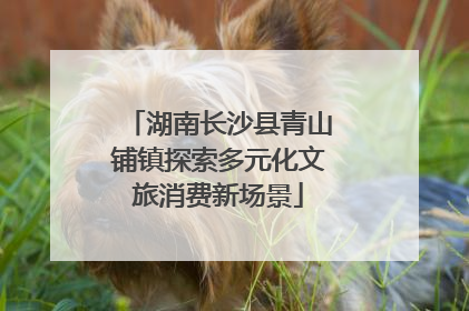 湖南长沙县青山铺镇探索多元化文旅消费新场景