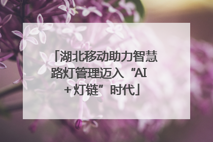 湖北移动助力智慧路灯管理迈入“AI＋灯链”时代
