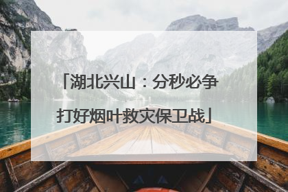 湖北兴山：分秒必争 打好烟叶救灾保卫战