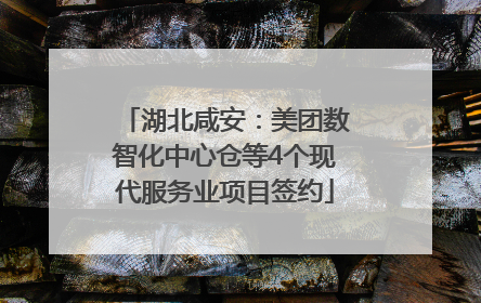 湖北咸安：美团数智化中心仓等4个现代服务业项目签约