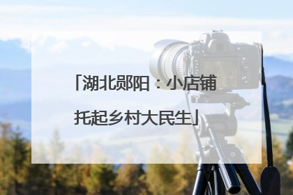 湖北郧阳：小店铺托起乡村大民生