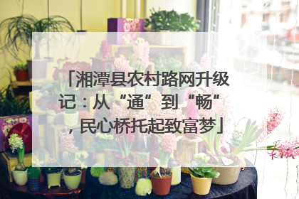 湘潭县农村路网升级记：从“通”到“畅”，民心桥托起致富梦