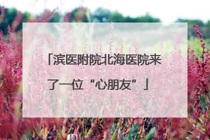 滨医附院北海医院来了一位“心朋友”