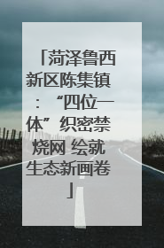 菏泽鲁西新区陈集镇：“四位一体”织密禁烧网 绘就生态新画卷