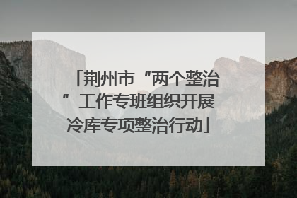 荆州市“两个整治”工作专班组织开展冷库专项整治行动