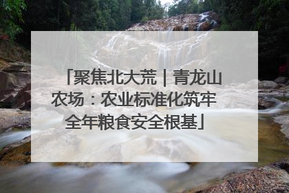 聚焦北大荒｜青龙山农场：农业标准化筑牢全年粮食安全根基