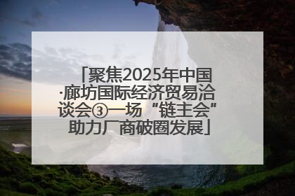 聚焦2025年中国·廊坊国际经济贸易洽谈会③一场“链主会” 助力厂商破圈发展