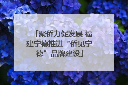 聚侨力促发展 福建宁德推进“侨见宁德”品牌建设