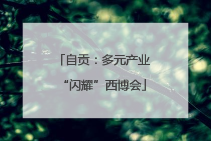 自贡：多元产业“闪耀”西博会