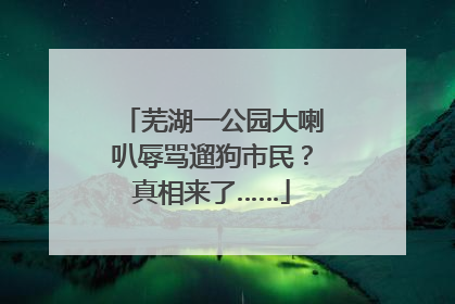 芜湖一公园大喇叭辱骂遛狗市民？真相来了……