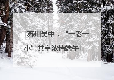 苏州吴中：“一老一小”共享浓情端午