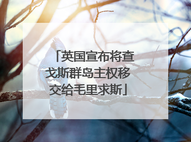英国宣布将查戈斯群岛主权移交给毛里求斯