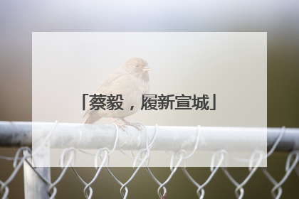 蔡毅，履新宣城