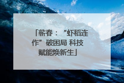 蕲春：“虾稻连作”破困局 科技赋能焕新生