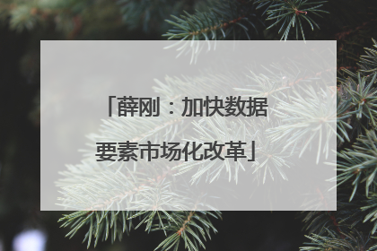 薛刚：加快数据要素市场化改革