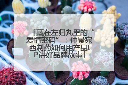 藏在左归丸里的“爱情密码”：仲景宛西制药如何用产品IP讲好品牌故事