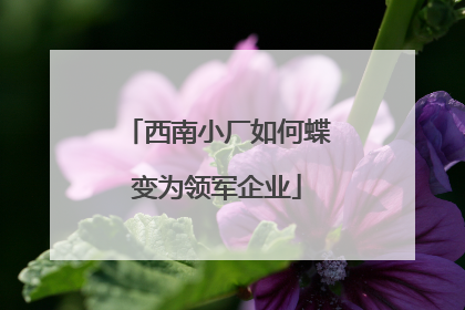 西南小厂如何蝶变为领军企业