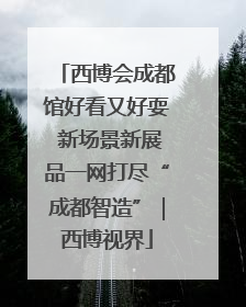 西博会成都馆好看又好耍 新场景新展品一网打尽“成都智造”｜西博视界