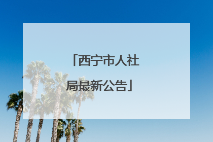 西宁市人社局最新公告