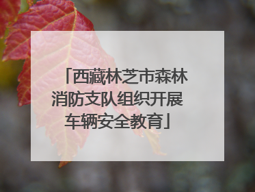 西藏林芝市森林消防支队组织开展车辆安全教育