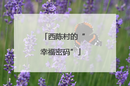 西陈村的“幸福密码”