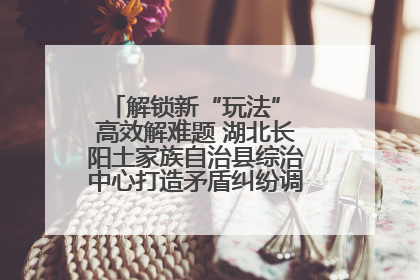 解锁新“玩法” 高效解难题 湖北长阳土家族自治县综治中心打造矛盾纠纷调处“终点站”