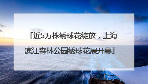 近5万株绣球花绽放，上海滨江森林公园绣球花展开幕