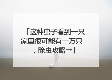 这种虫子看到一只家里很可能有一万只，除虫攻略→