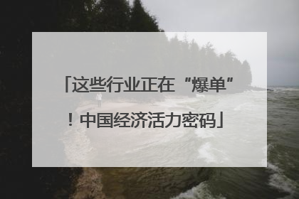 这些行业正在“爆单”！中国经济活力密码