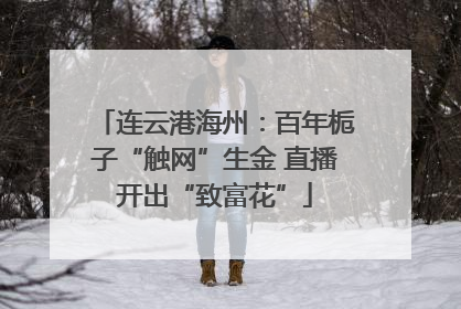连云港海州：百年栀子“触网”生金 直播开出“致富花”