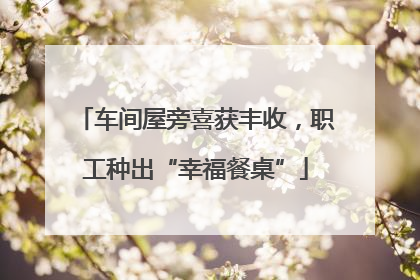 车间屋旁喜获丰收，职工种出“幸福餐桌”